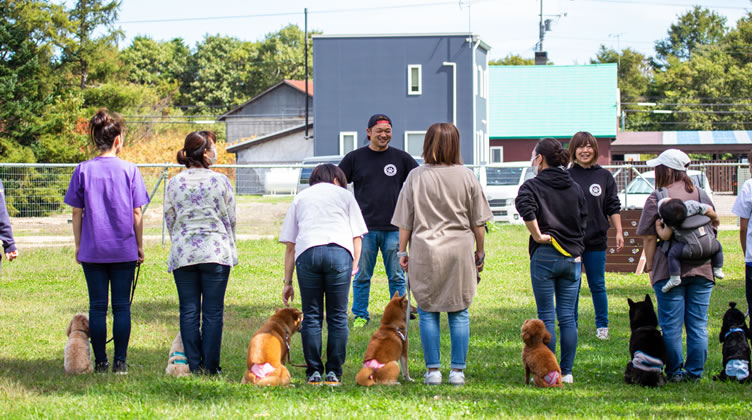 様々な年齢や犬種のワンちゃんと触れ合う