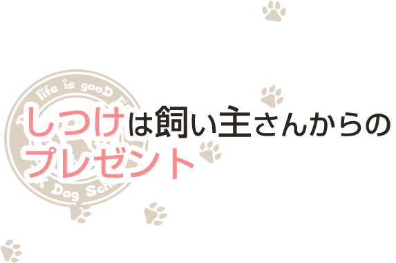 しつけは飼い主さんからのプレゼント