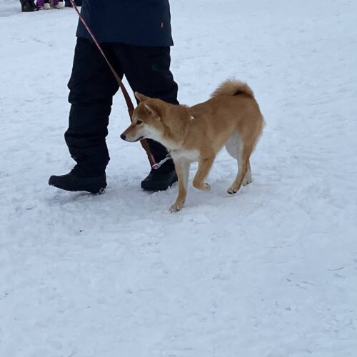 ここのスクールに出会えて良かった!