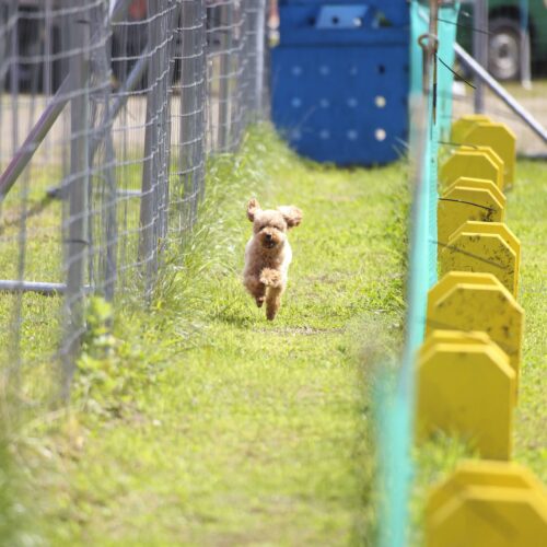 早く相談すれば良かったと思うほど、穏やかな生活を送っています。