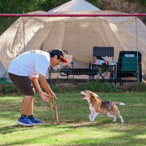 犬育ノイローゼで手放す事すら考えてました。